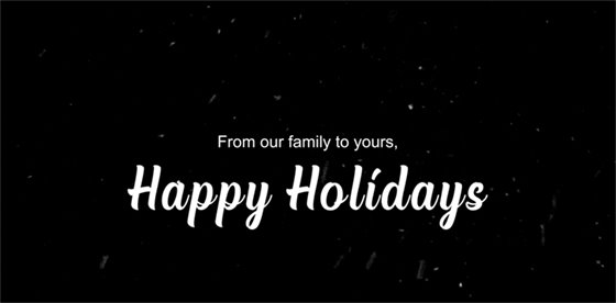 Happy Holidays Banner 
