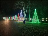 Buhl Park Lights