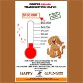 Animal Shelter Campaign Donation Flyer
