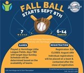 Fall Baseball Flyer