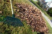 Yard Waste Collection