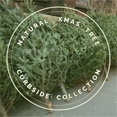 Natural Xmas Tree Collection Reminder