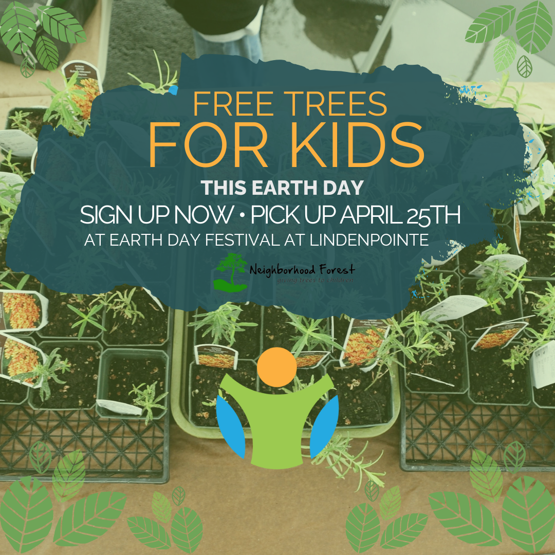 Free Trees for Kids - Square Crop